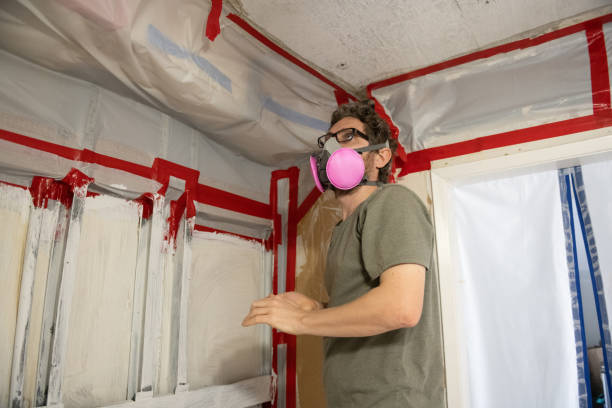 Mold Remediation for Vacation Homes in Avon, MN