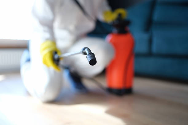 Trusted Avon, MN Mold Removal Experts